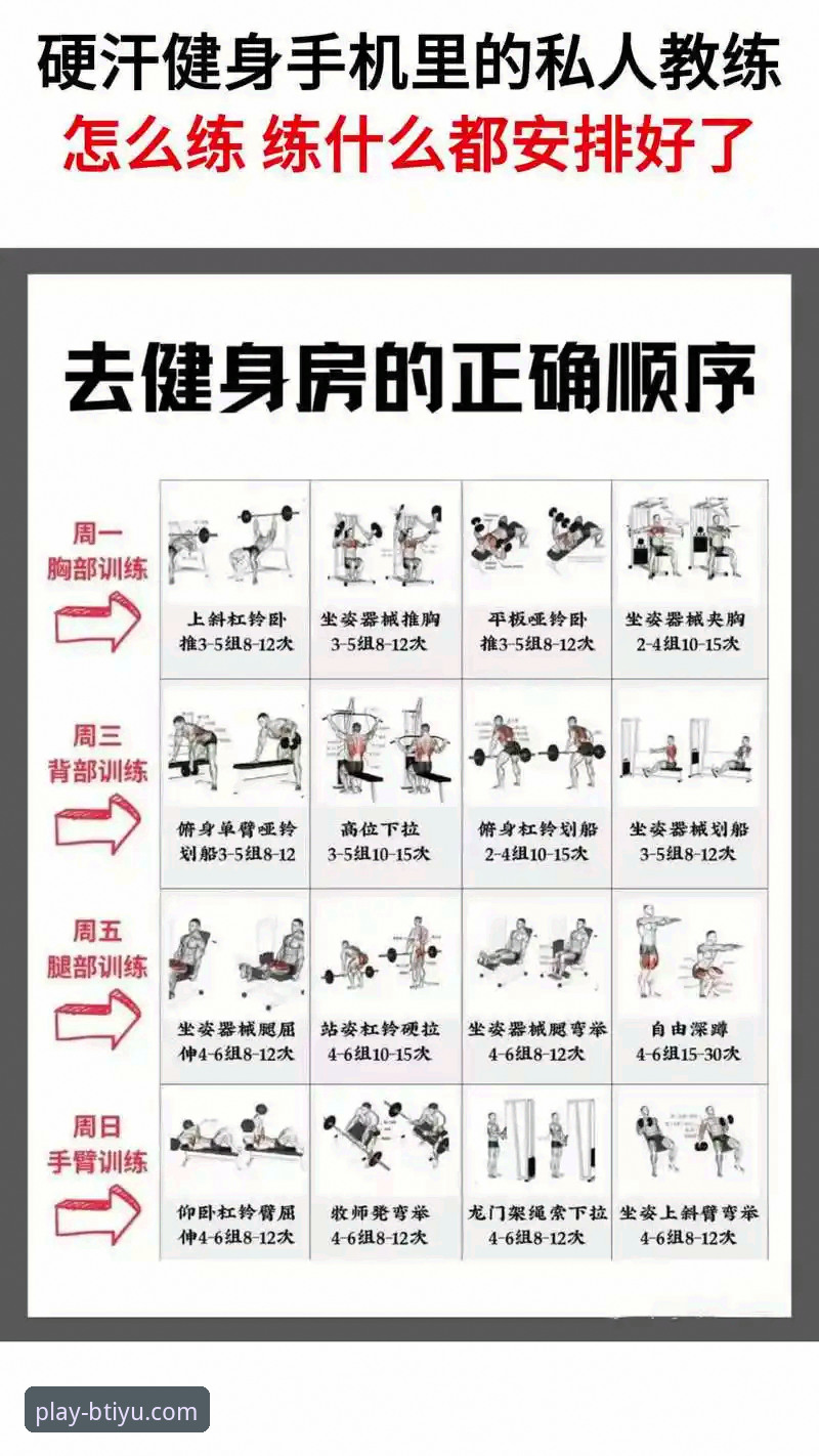 b体育平台靠谱性深度解析与使用指南